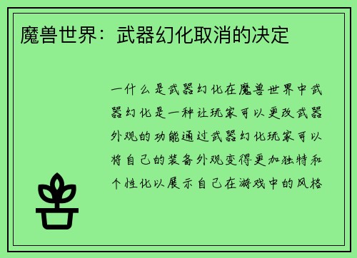 魔兽世界：武器幻化取消的决定